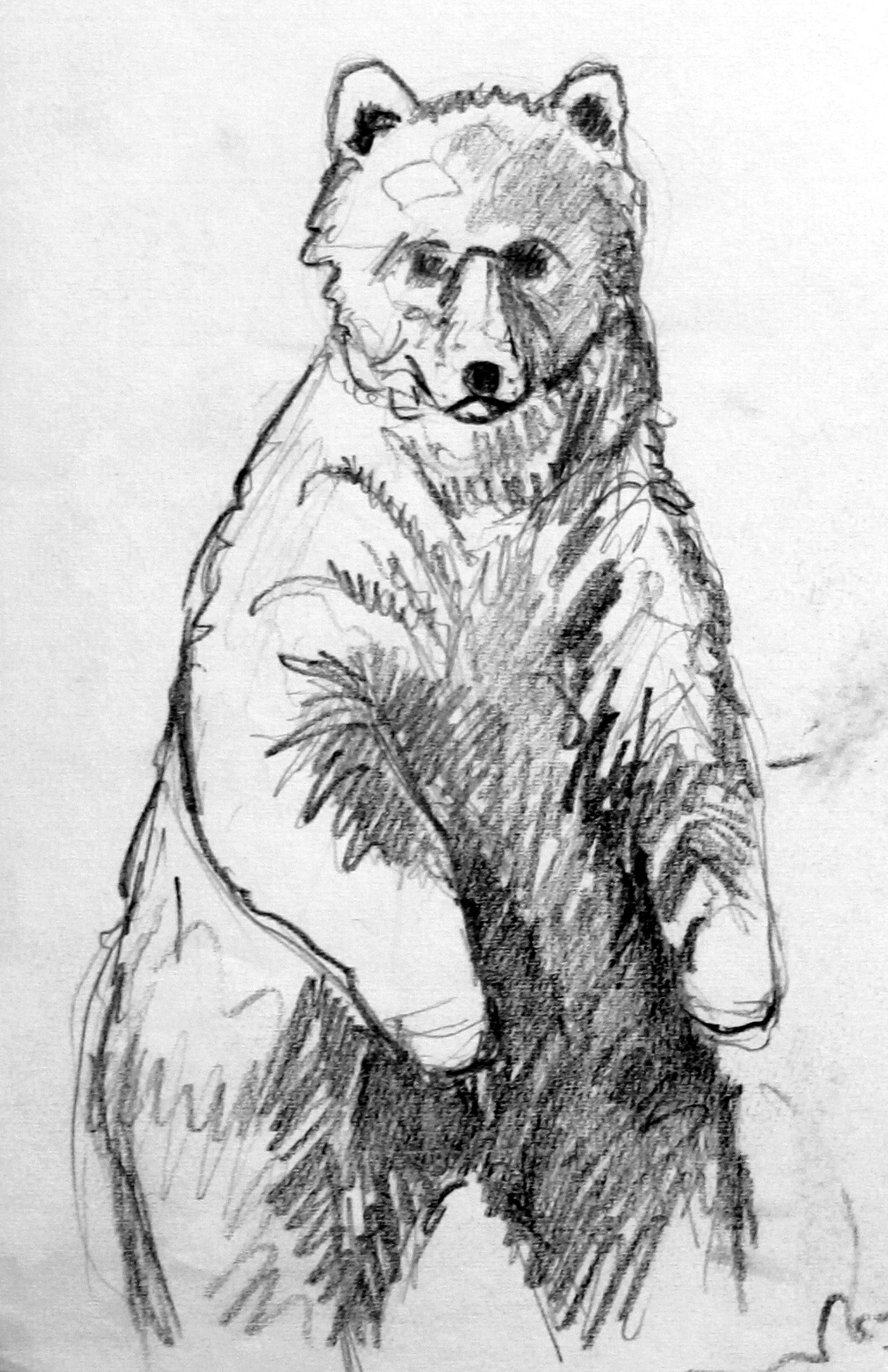 Grizzly 1