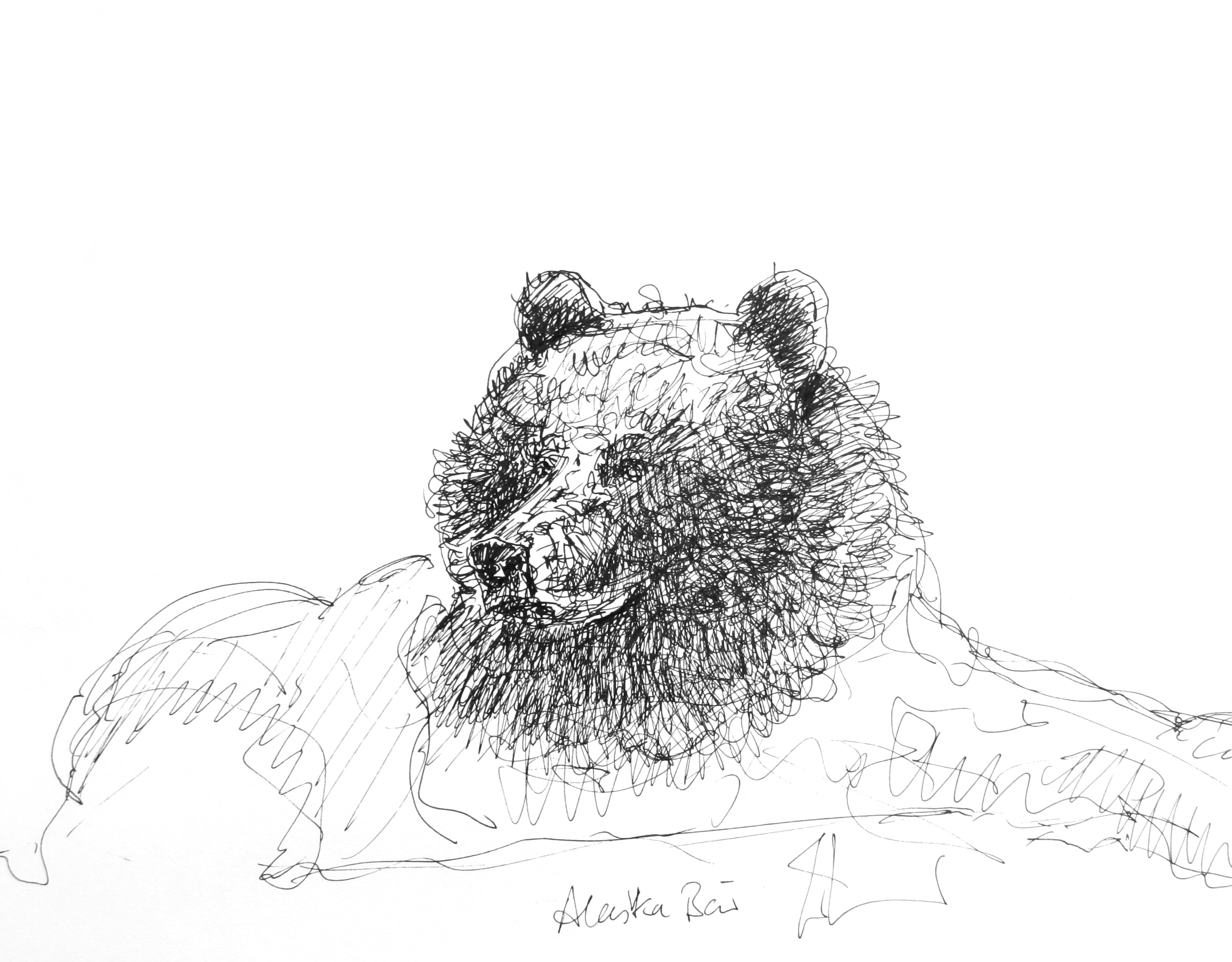 Grizzly 3