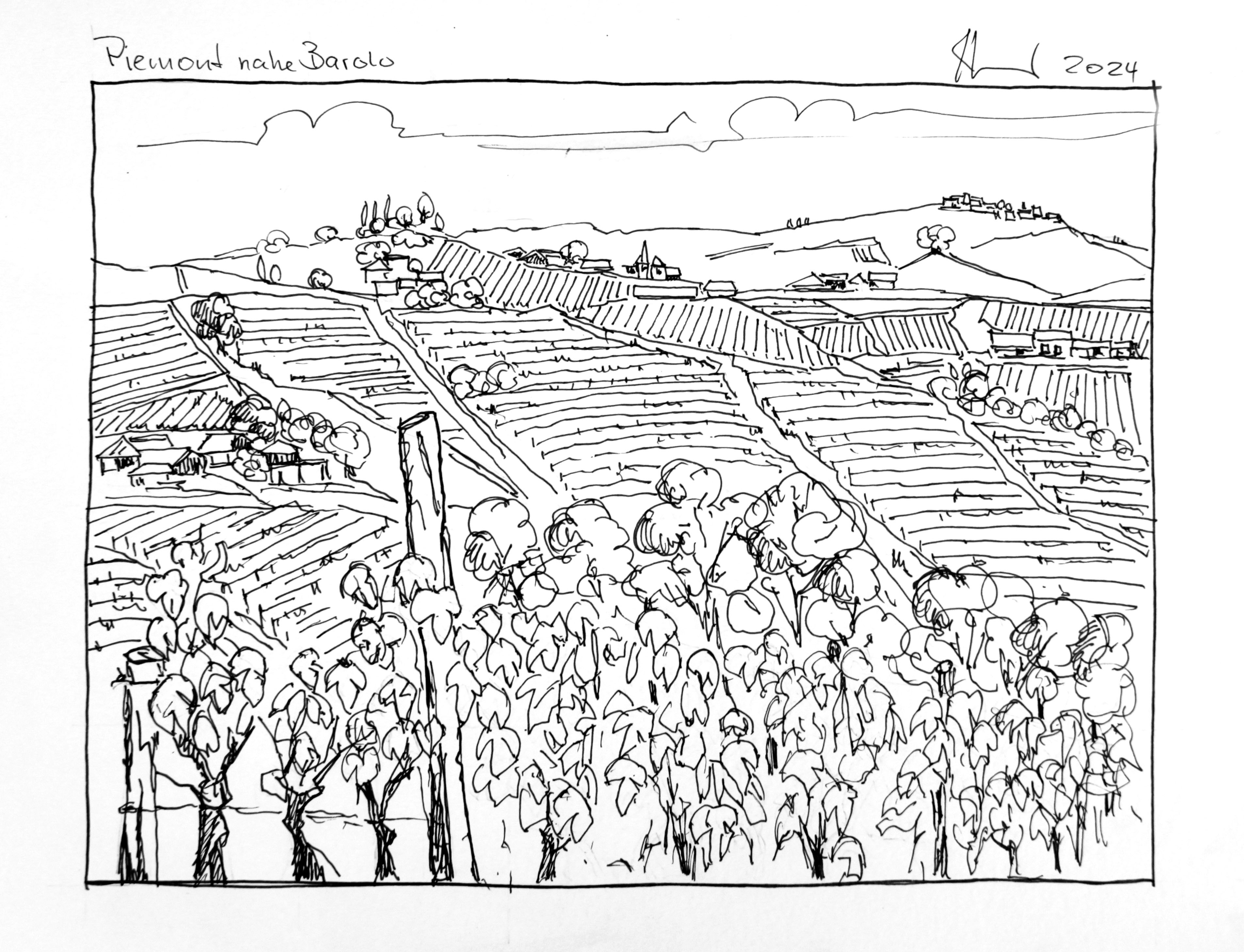 Piemont nahe Barolo Herbst 2024