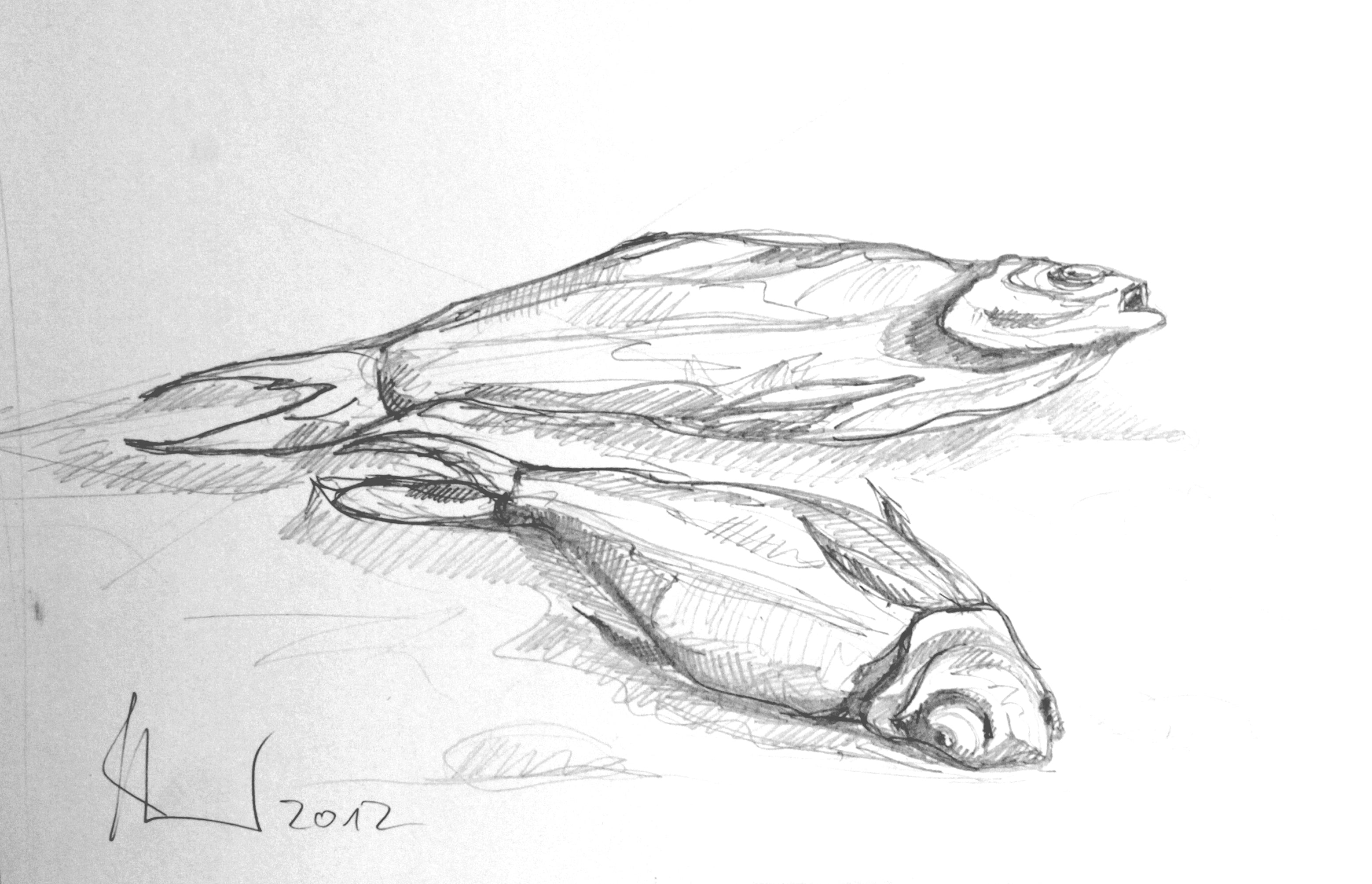 Tote Fische